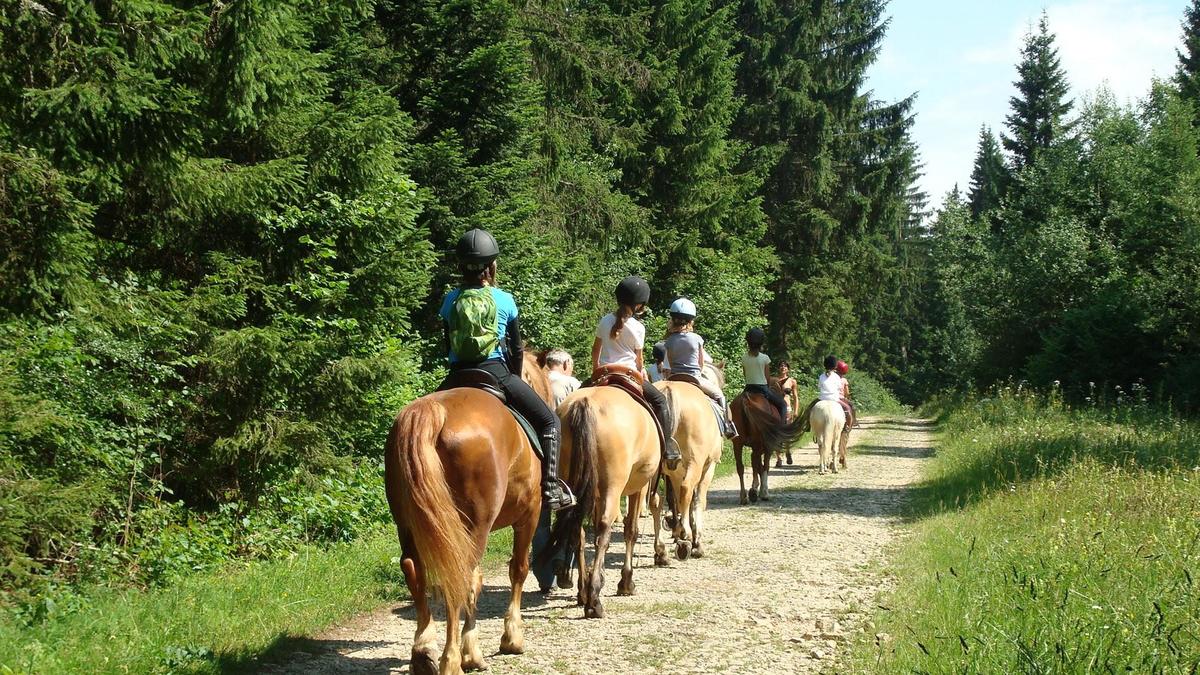 Camping de la Pélonie - Photo 52