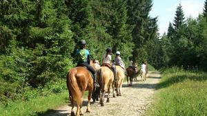 Camping de la Pélonie - Photo 52
