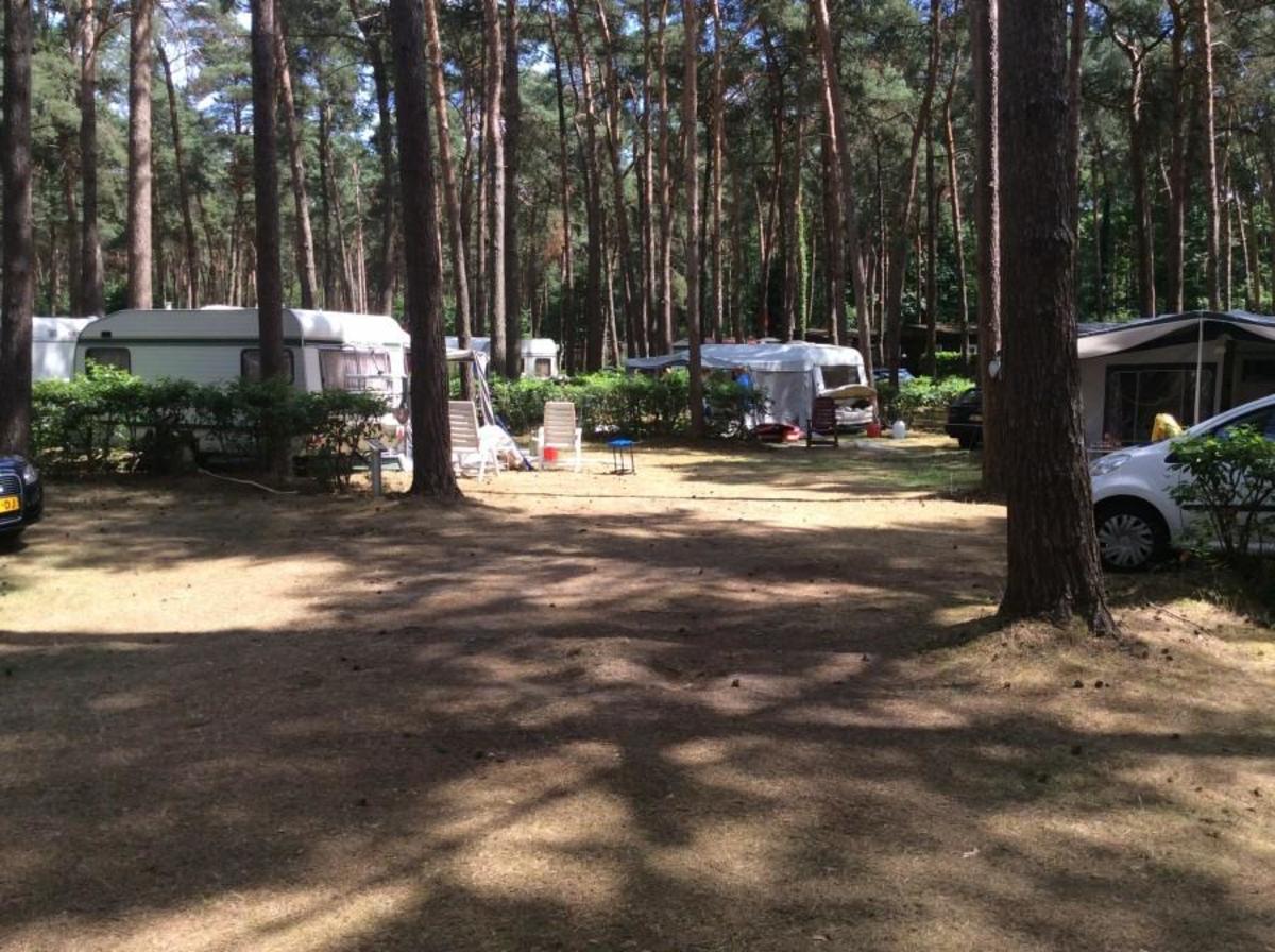 Camping Goolderheide - Photo 7