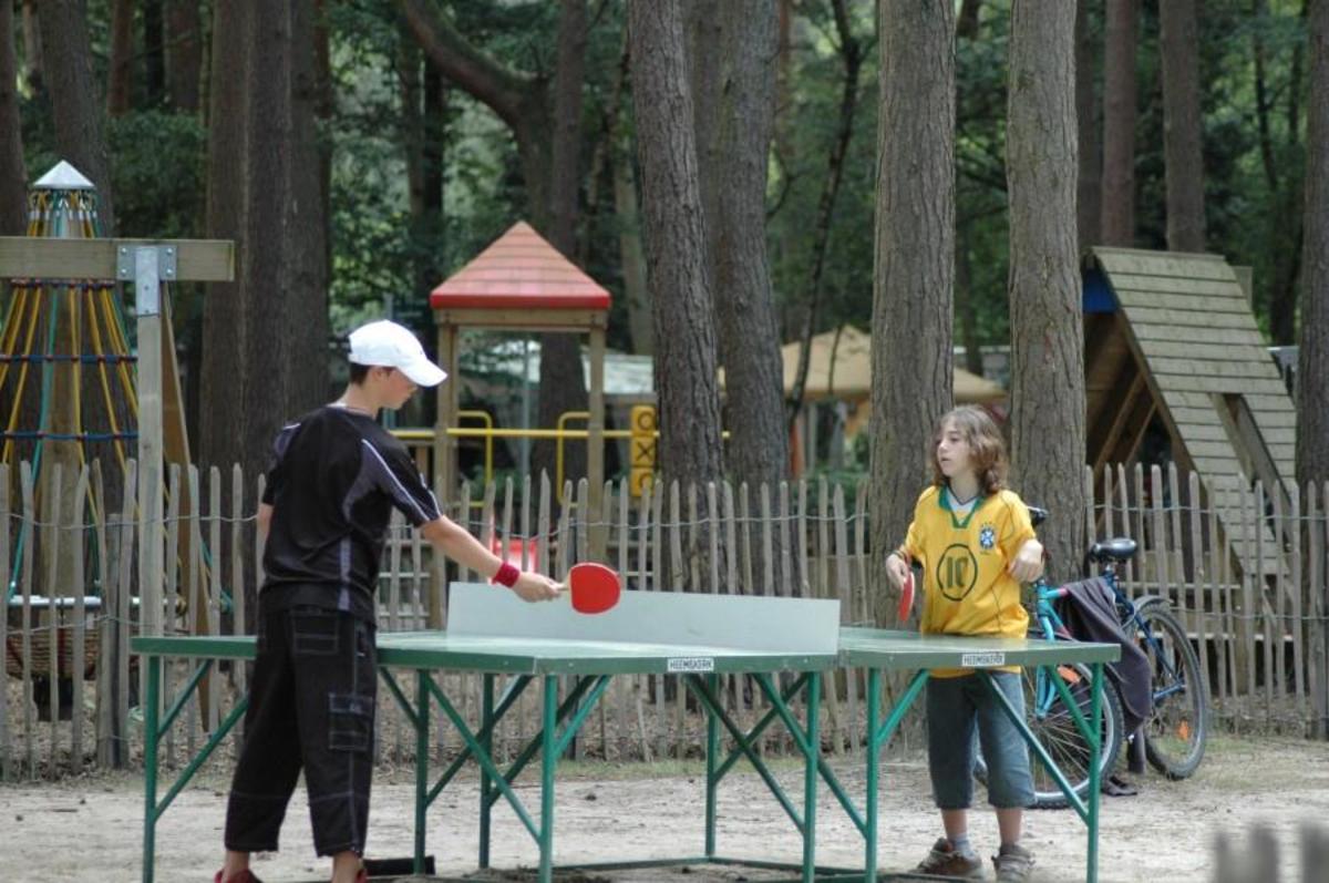 Camping Goolderheide - Photo 9