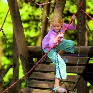 Camping Goolderheide - Photo 16