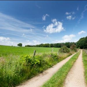 Camping Goolderheide - Photo 18