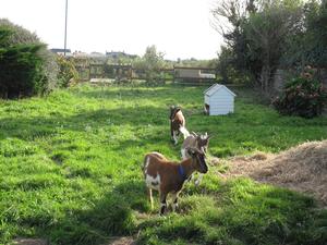 Camping La Ferme du Bord de Mer - Photo 26