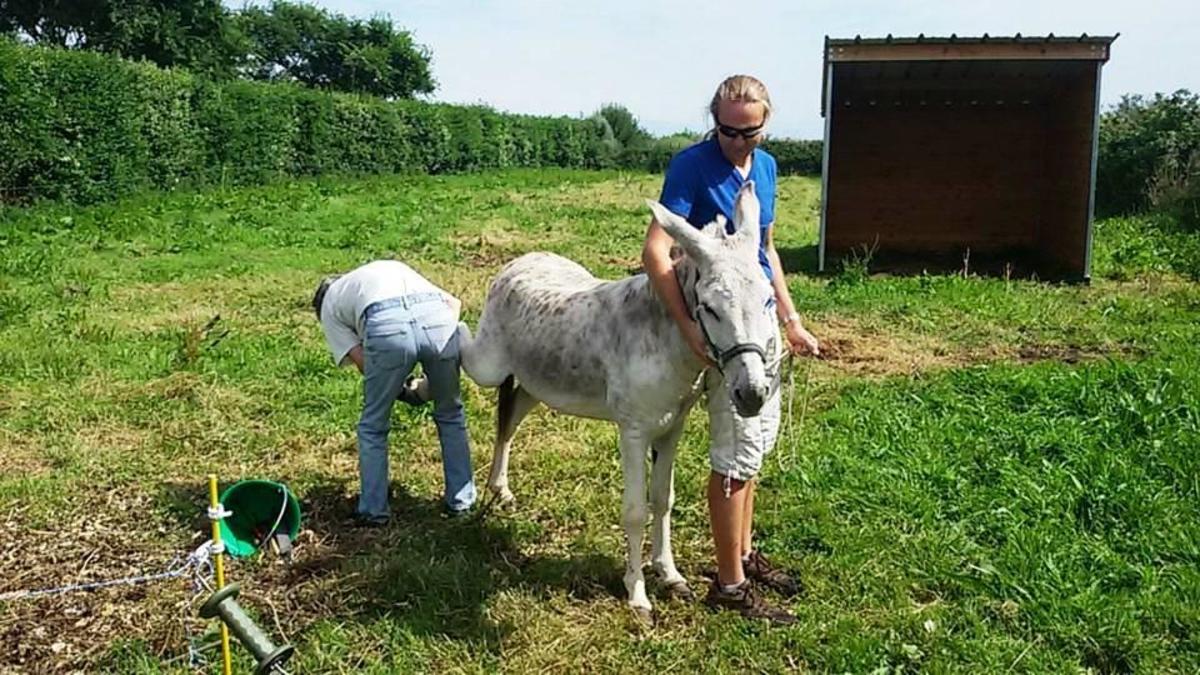 Camping La Ferme du Bord de Mer - Photo 27