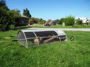 Camping La Ferme du Bord de Mer - Photo 24