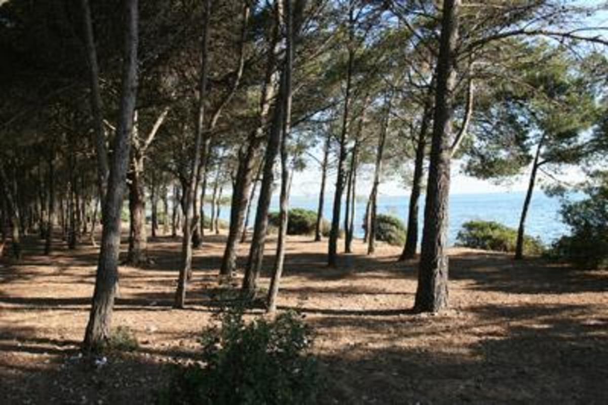 Flower Camping Altea - Photo 39
