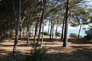 Flower Camping Altea - Photo 39