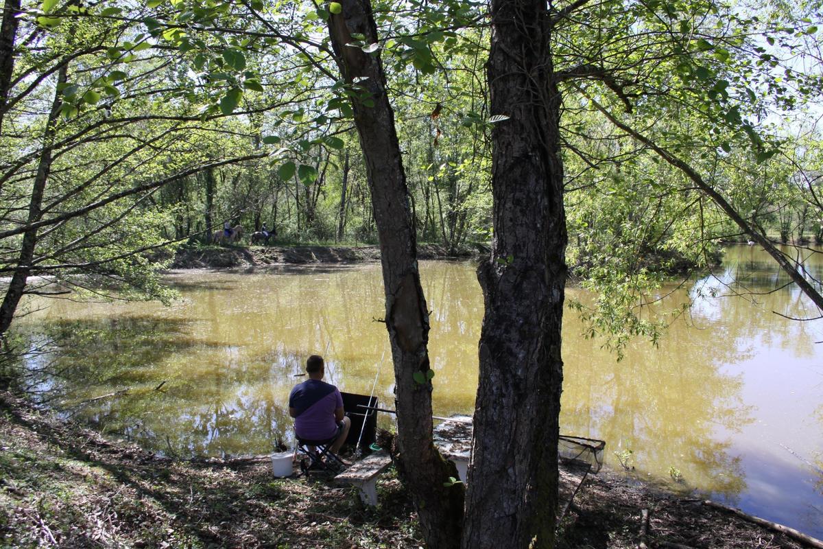 Camping des Etangs - Photo 21