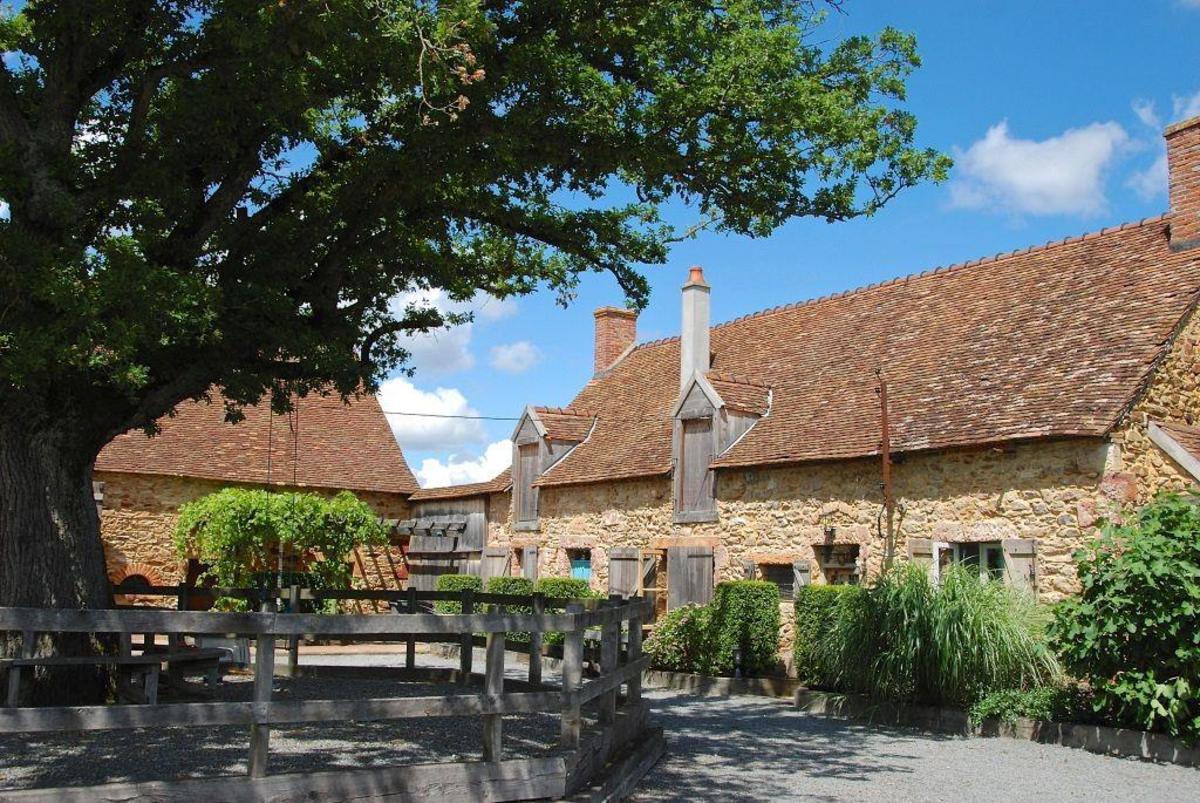 Domaine Bonneblond - Photo 5