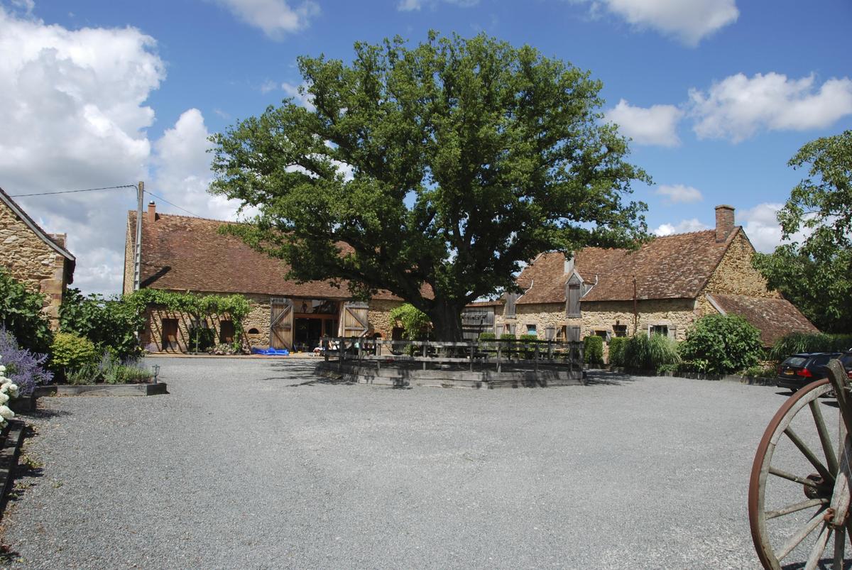 Domaine Bonneblond - Photo 4