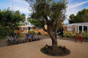 Tamarit Beach Resort - Photo 12