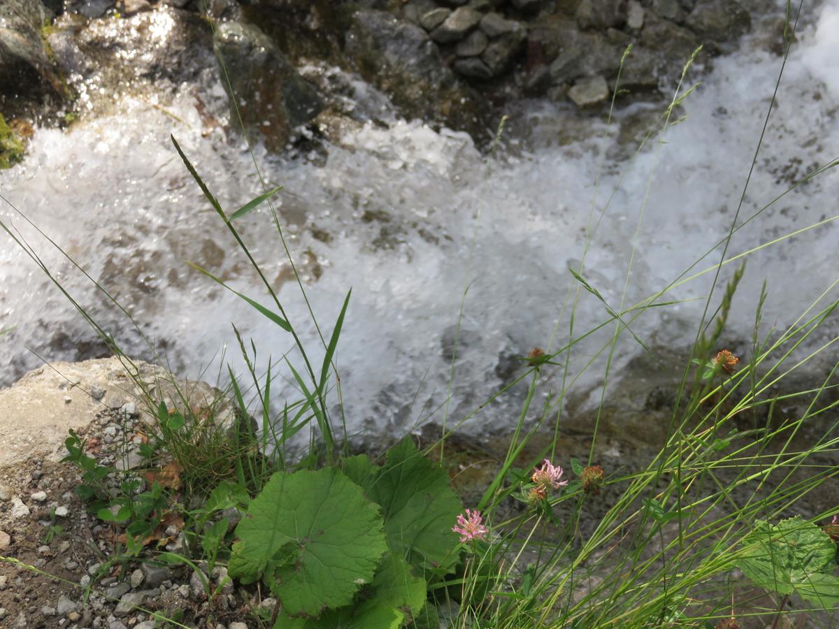 Le Champ du Moulin - Photo 15