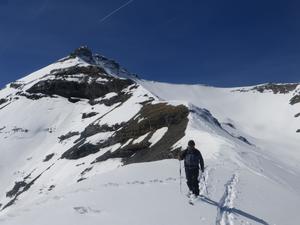 Le Champ du Moulin - Photo 29