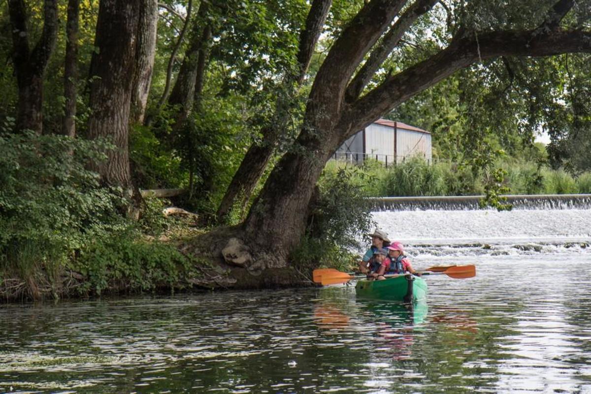 Camping de l'Ile - Photo 13