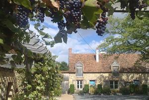 Domaine Bonneblond - Photo 3