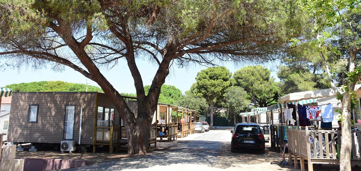 Camping Le Méditerranée - Photo 2