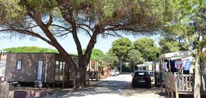 Camping Le Méditerranée - Photo 2