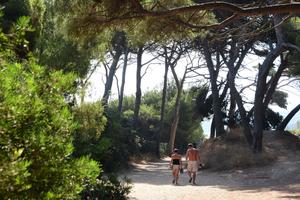 Camping Le Méditerranée - Photo 12