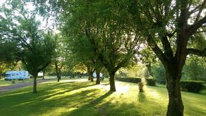 Camping Les Patis - Photo 2