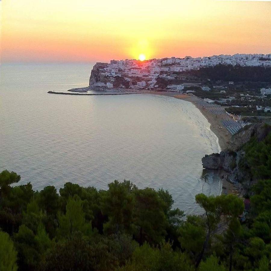 Camping Capo Vieste - Photo 65