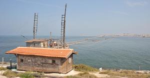 Camping Punta Lunga - Photo 15