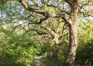 Camping de la Colline - Photo 7