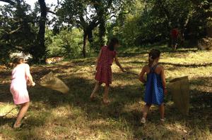 Camping de la Colline - Photo 15