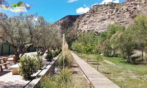 Camping Port Massaluca - Photo 104