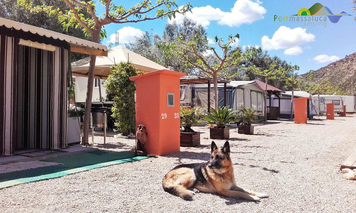 Camping Port Massaluca - Photo 102