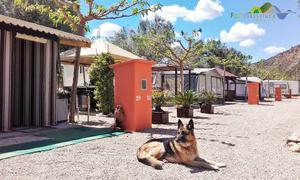 Camping Port Massaluca - Photo 102