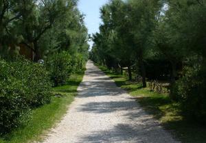 Torre Rinalda Camping Village - Photo 109