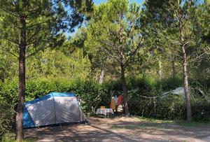 Huttopia Fontvieille - Photo 108