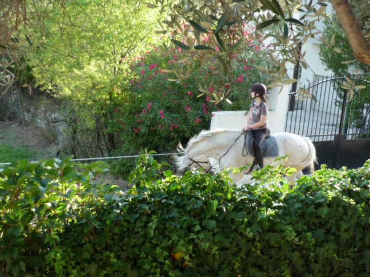 Camping L'Olivier - Photo 704