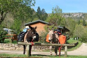 Camping La Cascade - Photo 168