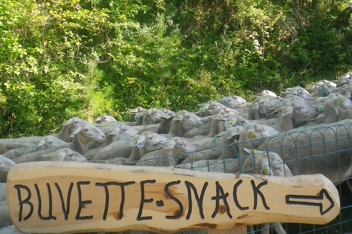 Camping La Cascade - Photo 668