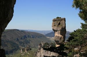 Camping La Cascade - Photo 1181