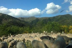 Camping La Cascade - Photo 1180