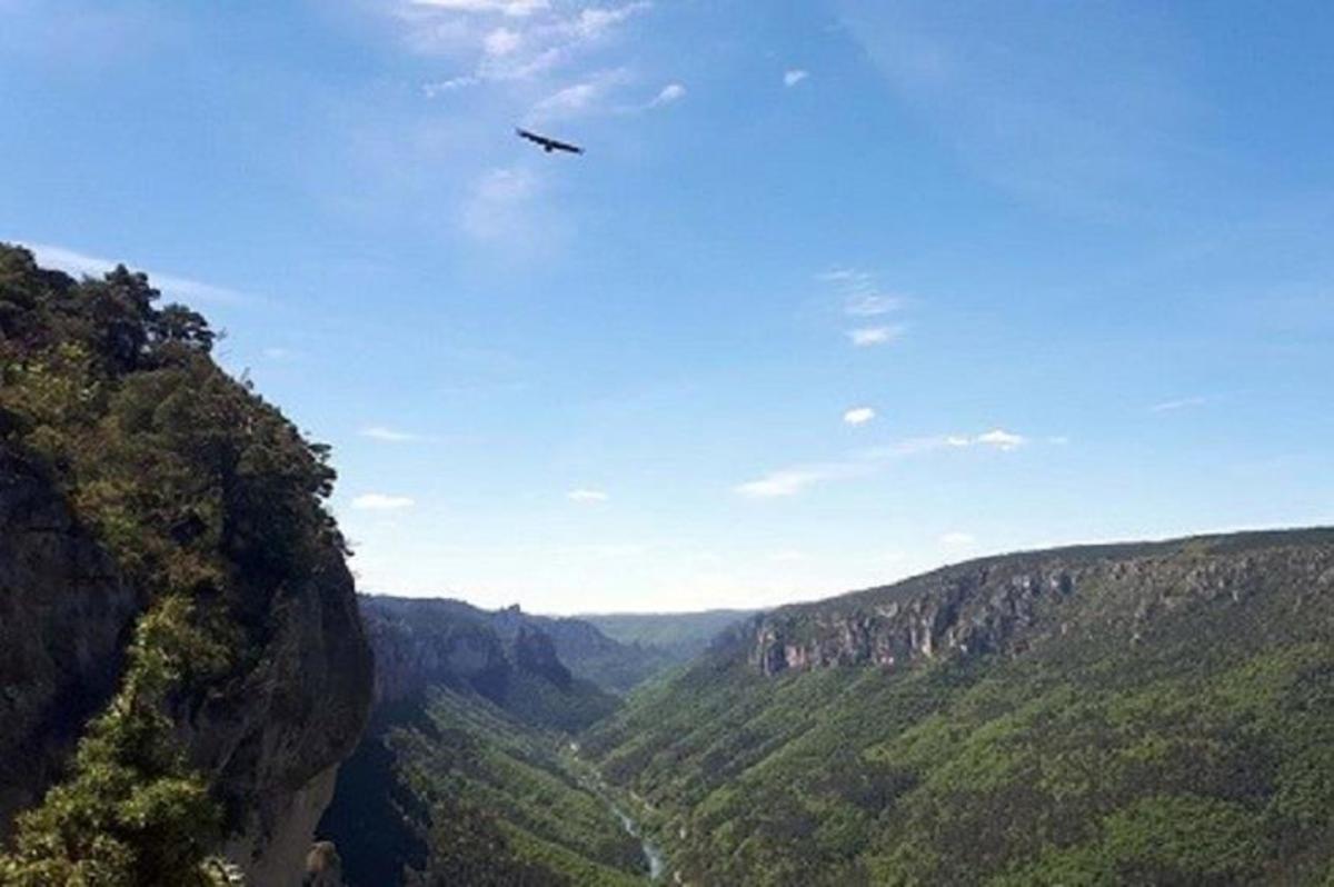 Camping La Cascade - Photo 1282
