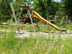 Domaine de Pradines - Photo 724
