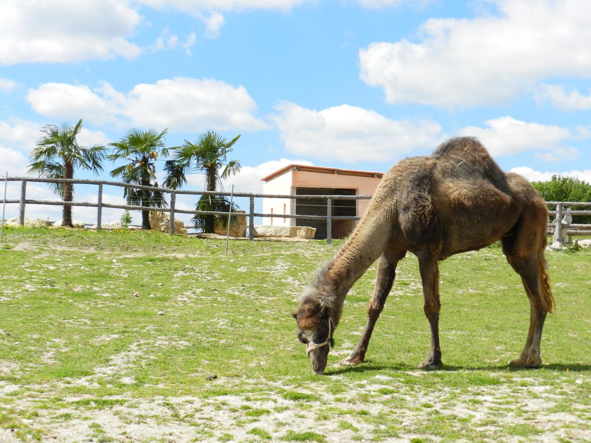 DéfiPlanet' à Dienné - Photo 141
