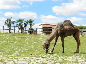 DéfiPlanet' à Dienné - Photo 141