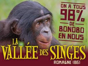 DéfiPlanet' à Dienné - Photo 1325