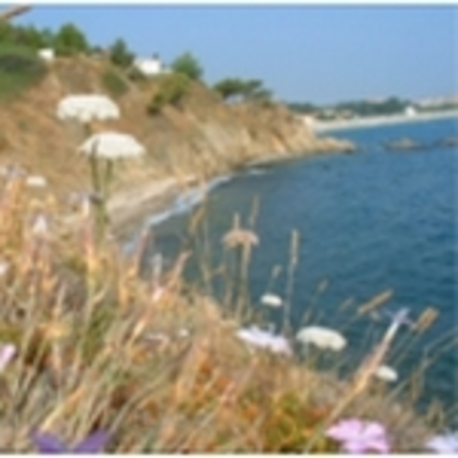 Camping Le Lagon D'Argeles - Photo 1310