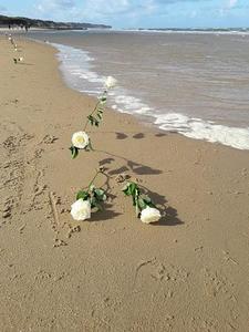 Camping Le Picard - Photo 507