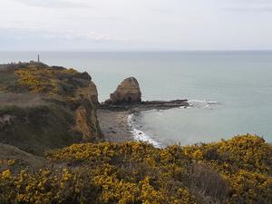 Camping Le Picard - Photo 1338