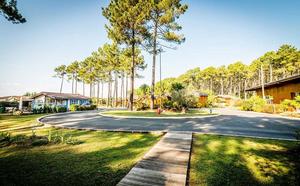 Village les Pins d'Or - Photo 103