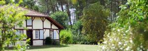 Village les Pins d'Or - Photo 1228