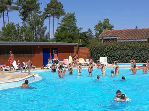 Village les Pins d'Or - Photo 723
