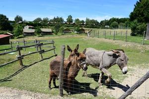 Camping Village de La Guyonnière - Photo 176