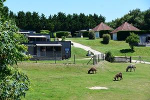 Camping Village de La Guyonnière - Photo 175